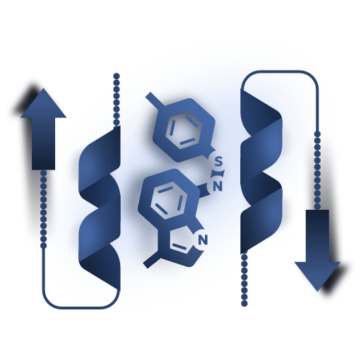 Structure Prediction